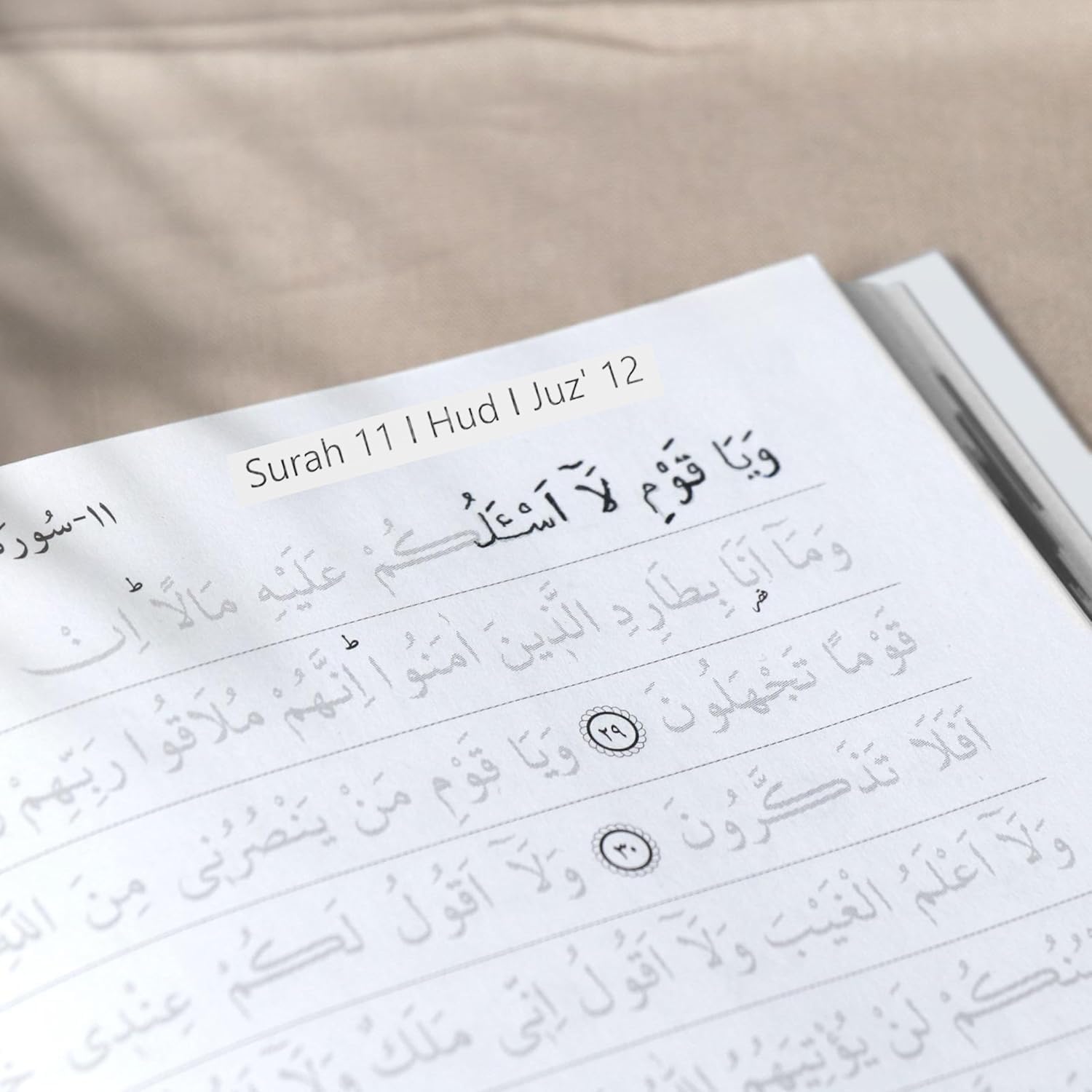 Schattierter Qur’an Zum Nachzeichnen– Mit dem Stift beschreibbarer Mittelgroßer Mushaf | Vollständiger Nachzieh-Qur’an 17x24 CM (Pink)