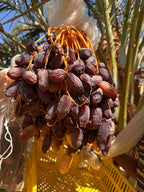Medjool Medjoul Datteln aus Ägypten - 100% naturell I ohne Konservierungsstoffe, Premium Datteln Kiste Deglet Nour | VEGAN | fruchtiger, honigsüßer aromatischer 1 kg / 5 kg